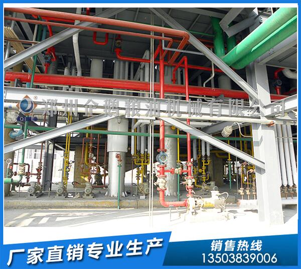 50噸棉籽浸出油設(shè)備坎隶,企鵝糧油品質(zhì)貨真價實(shí)(圖1) 棉籽油浸出設(shè)備